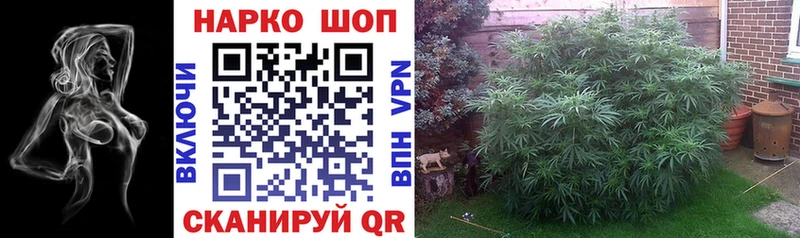 Наркошоп купить ЭКСТАЗИ  Псилоцибиновые грибы  Марихуана  БУТИРАТ  МЕФ  COCAIN  Палласовка