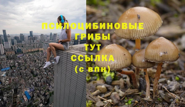 винт Зерноград