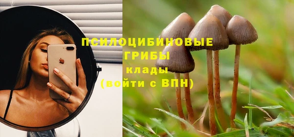 mix Зеленокумск