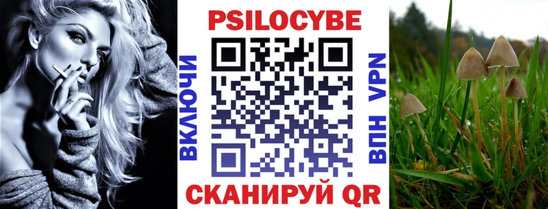 Купить закладки Палласовка Псилоцибиновые грибы Psilocybine cubensis